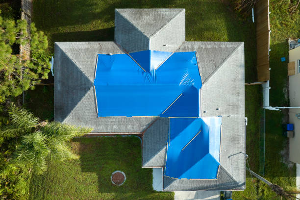 Best Gutter Installation and Repair  in Holland, TX