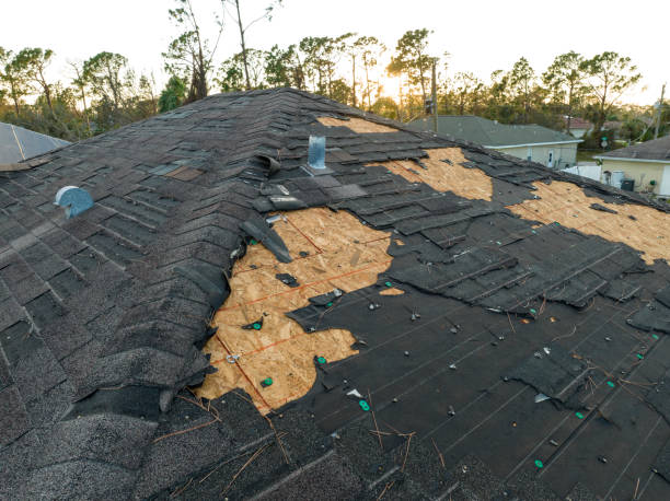 Best Skylight Installation and Repair  in Holland, TX