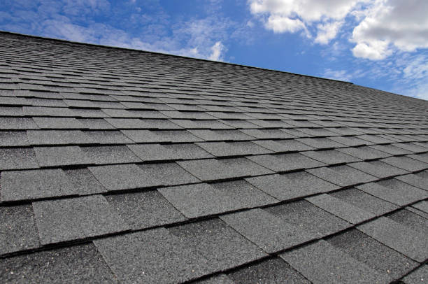 Best Steel Roofing  in Holland, TX