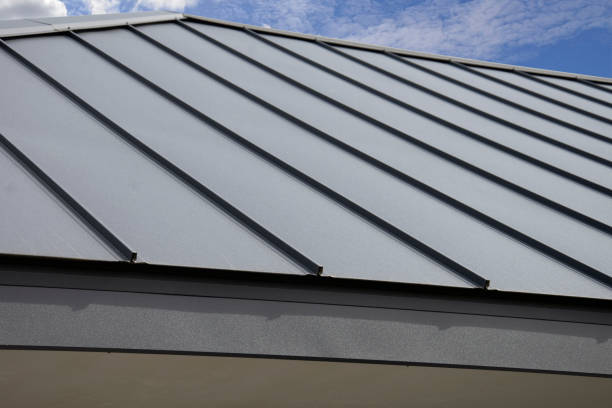 Best Commercial Roofing Services  in Holland, TX